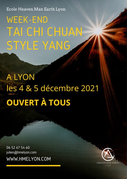 stage tai chi yang lyon stage tai chi yang lyon