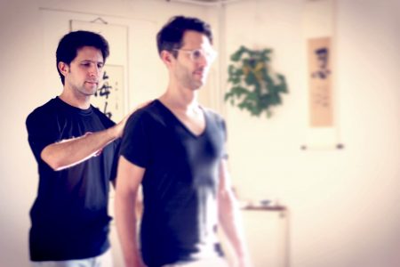 tai chi lyon cours particuliers professeur tai chi lyon cours particuliers